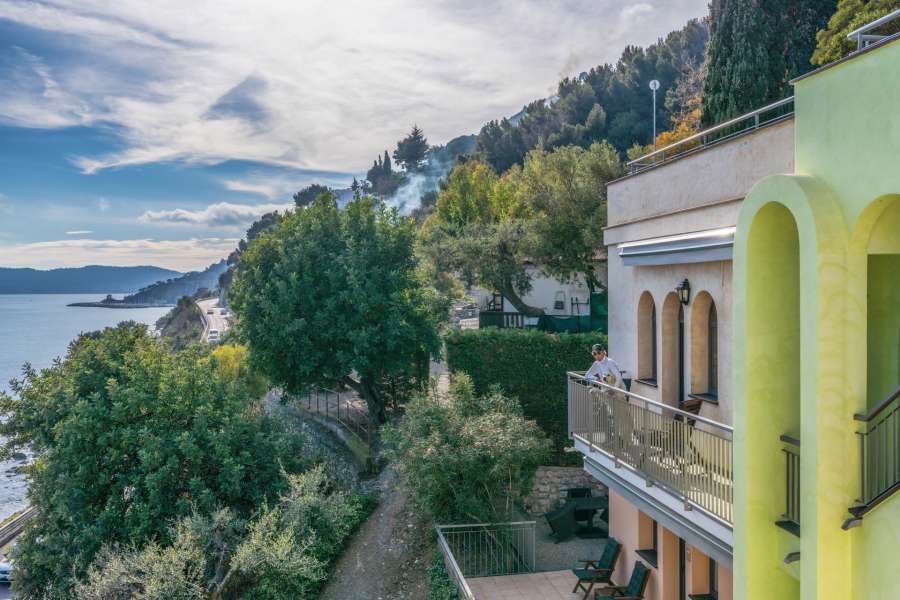 Starfish BaBa Starfish BaBa